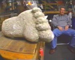 Plaster cast of large foot