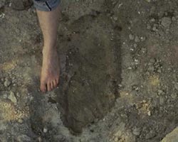 Giant footprint