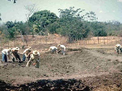 Dig site in Panama